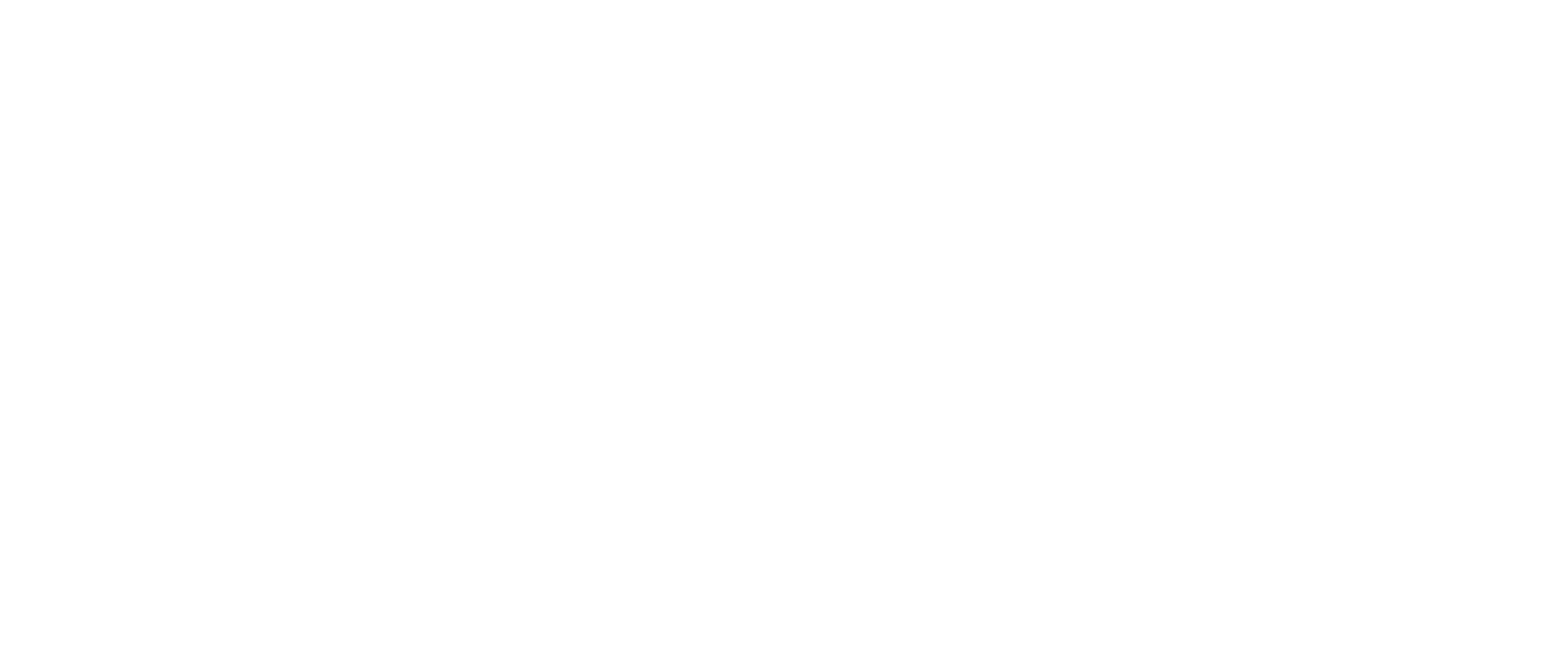 SS Elektrik logo